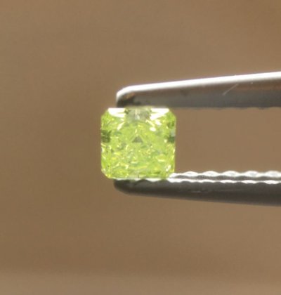 画像7: Gallery 391