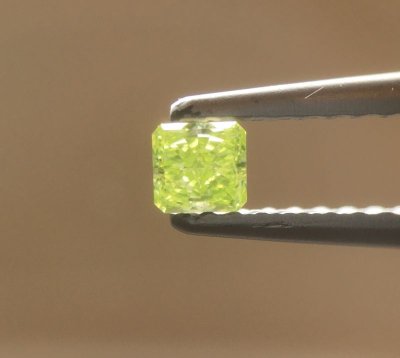 画像8: Gallery 391