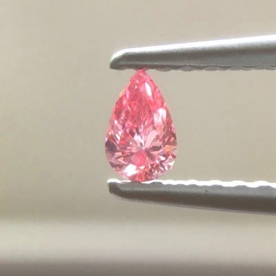 画像5: Gallery 446