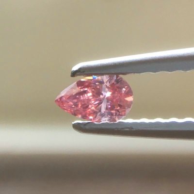 画像7: Gallery 462