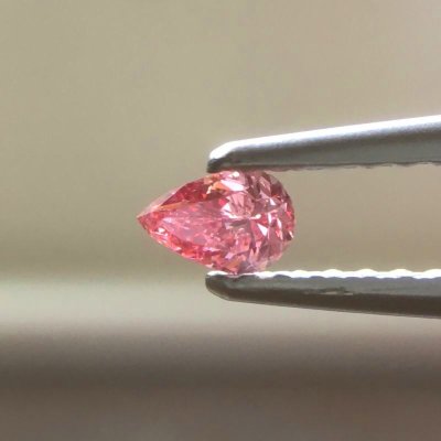 画像6: Gallery 446