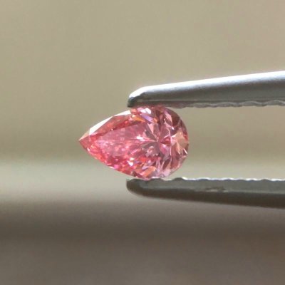 画像7: Gallery 446