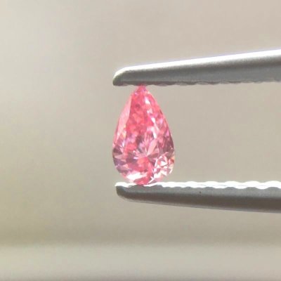 画像3: Gallery 446