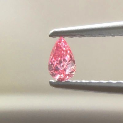 画像4: Gallery 446