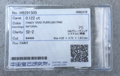 画像8: Gallery 446