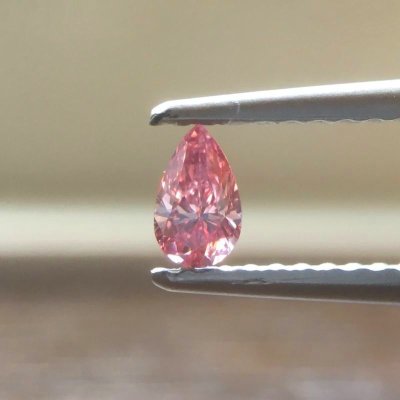 画像5: Gallery 462