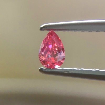 画像4: Gallery 445