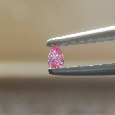 画像6: Gallery 448