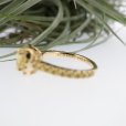 画像4: Gallery 569 (4)