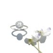 画像1: ROSECUT DIAMOND RING (1)