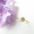 画像1: The RING Fancy Vivid Yellow  0.154ct SI2 中央宝石研究所ソーティング付 (1)