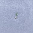 画像6: 裸石 0.046ct Fancy Intense Bluish Green SI-1  中央宝石研究所ソーティング付 (6)